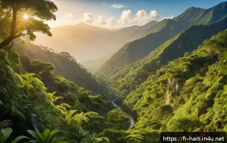 아이티의 숨겨진 자연 명소 - A breathtaking panoramic view of the Haitian mountain ranges covered in dense, lush green forests an...
