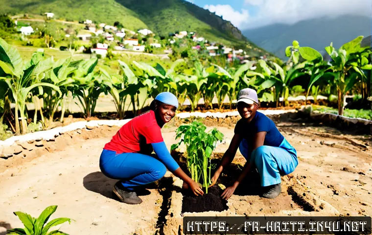 아이티에서 참여할 수 있는 자원봉사 프로젝트 - Photorealistic humanitarian volunteer project in rural Haiti, diverse Francophone volunteers and Hai...